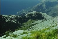 Posebni rezervat šumske vegetacije Bukovac